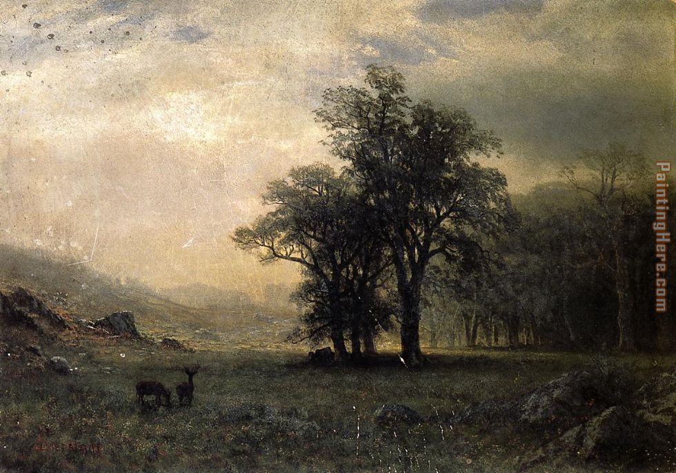 Deer in a Landscape painting - Albert Bierstadt Deer in a Landscape art painting
